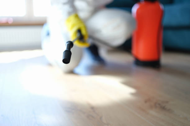 Dehumidification Services in Sunset, UT