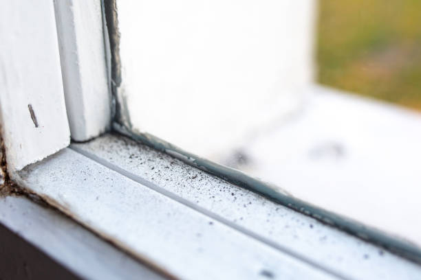 Best HVAC Mold Inspection and Cleaning  in Sunset, UT
